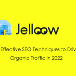 SEO in 2022: Still Relevant?