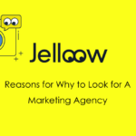 Finding your marketing partner, step by step